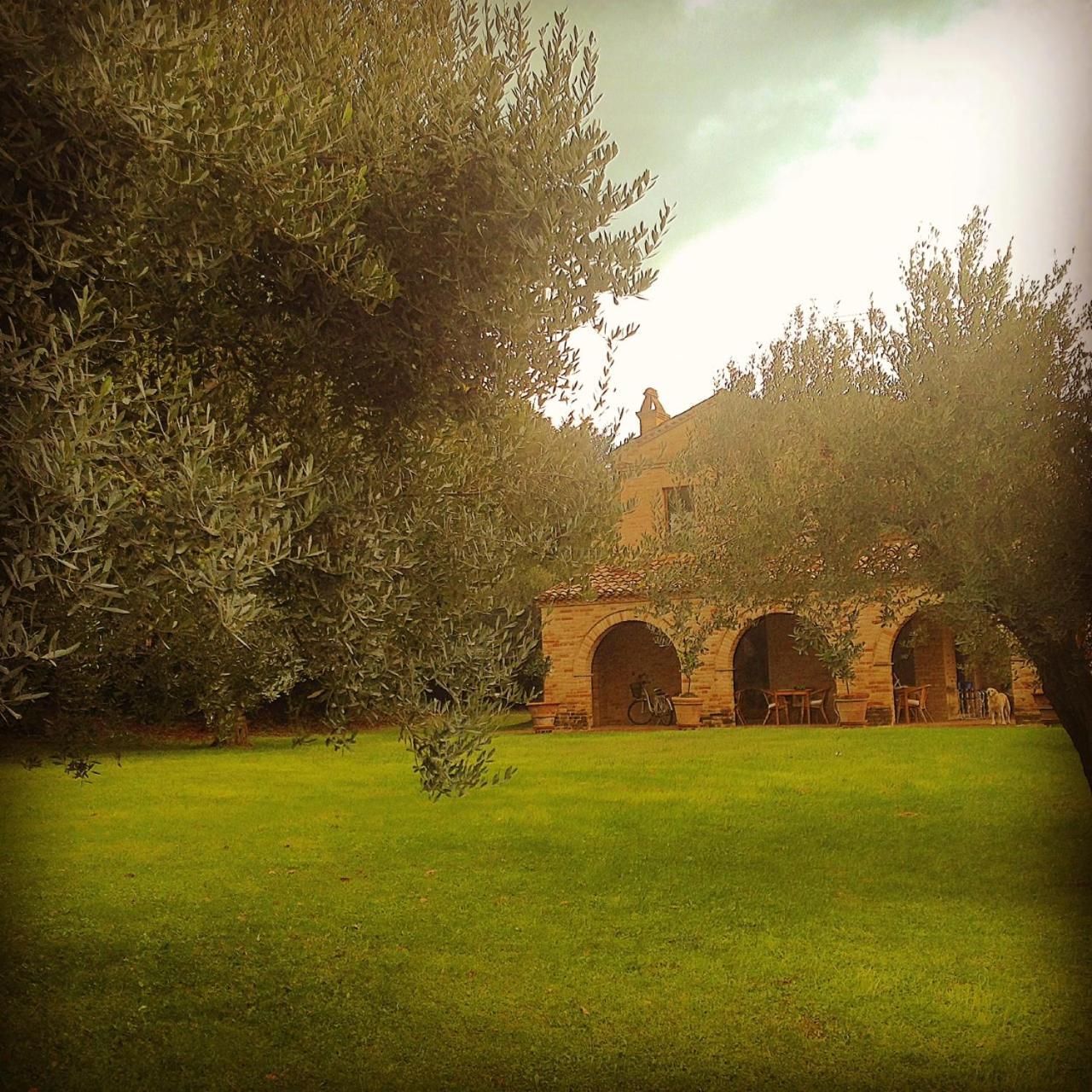B&B La Casa Tra Gli Ulivi Civitanova Marche Exterior photo
